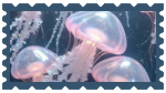 Jellies
